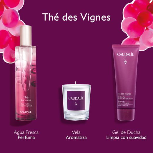 Caudalie Cofre Agua Fresca Thé des Vignes 50ml
