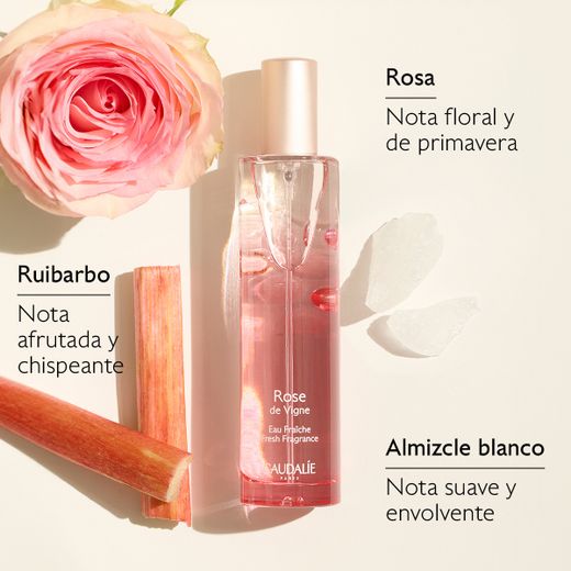 Caudalie Cofre Agua Fresca Rose de Vigne 50ml
